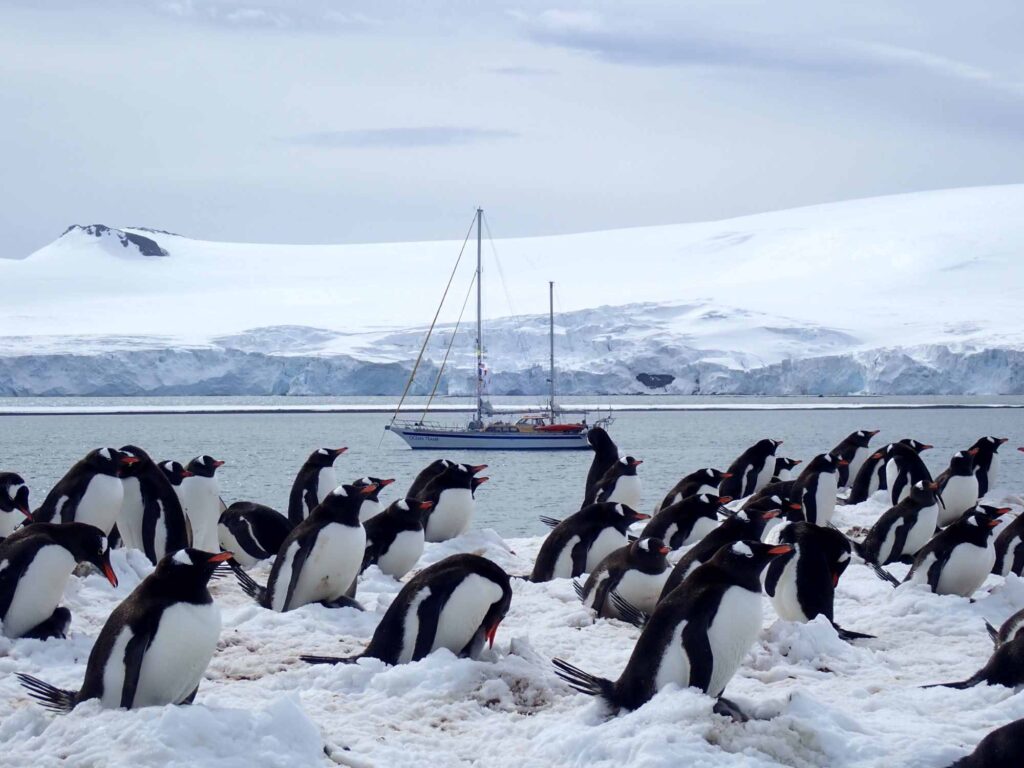 People in boat observe snowy mountains and sailboat in Antarctica.