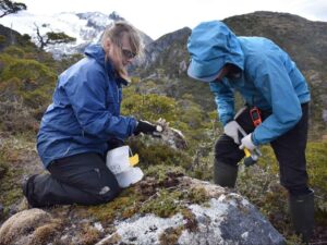 Dr. Brenda Hall (left) and her colleague collect rock samples for cosmogenic surface exposure dating.