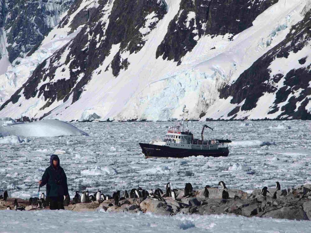 Hans hansson History 7