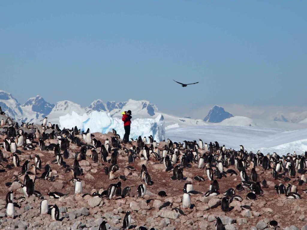 Micro cruise Antarctica 3