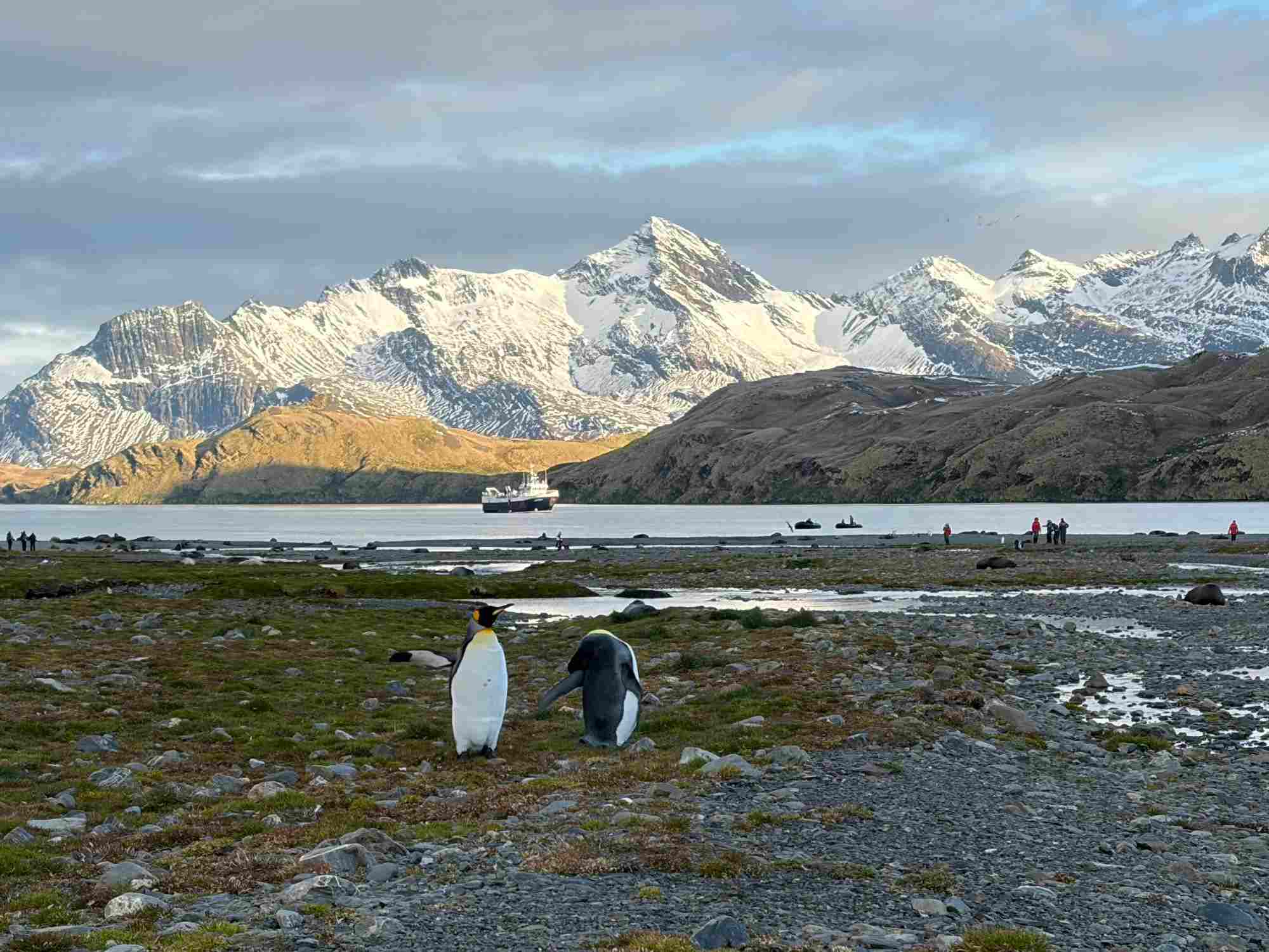 Meredian South Georgia