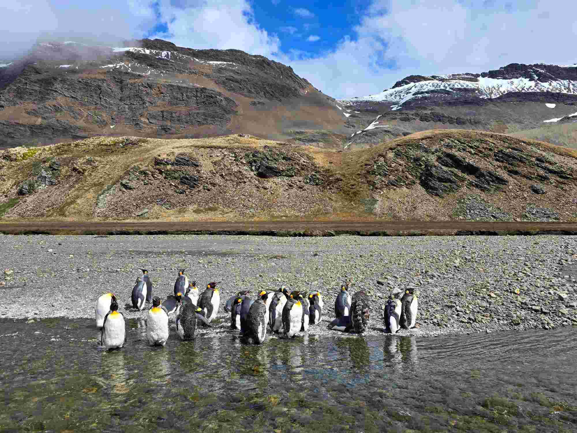 Meredian South Georgia 6