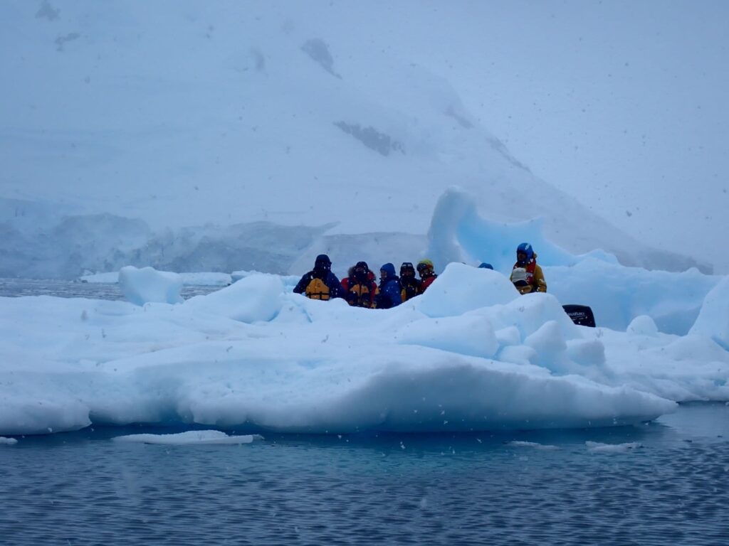icebergs